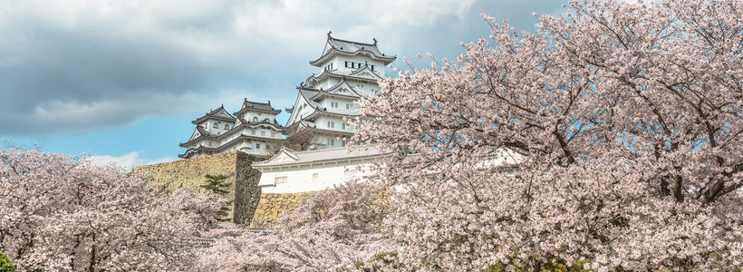 ＼お花見シャトルバス企画／桜舞う！世界遺産姫路城を訪ねよう