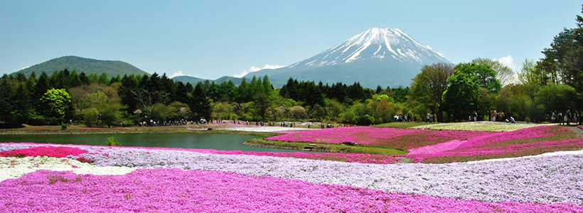 ～春よ来い～富士山を望む富士芝桜まつり・忍野八海圧巻のステンドグラス！箱根「彫刻の森美術館」ご観賞☆