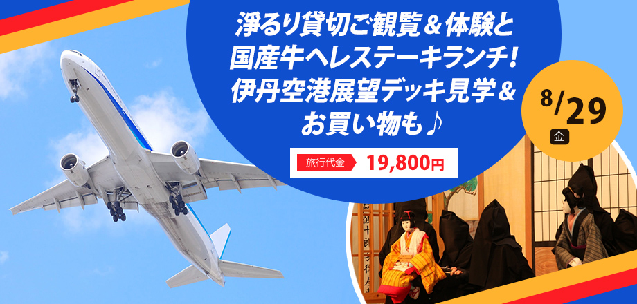 【大阪】淨るり貸切ご観覧＆体験と国産牛ヘレステーキランチ！伊丹空港展望デッキ見学＆お買い物も