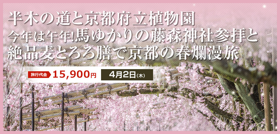 【京都】半木の道と京都府立植物園