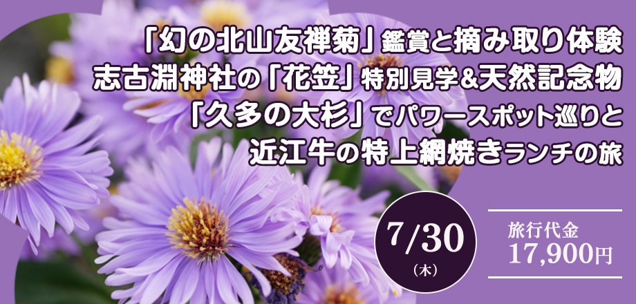 【京都】「幻の北山友禅菊」鑑賞と摘み取り体験志古淵神社の「花笠」