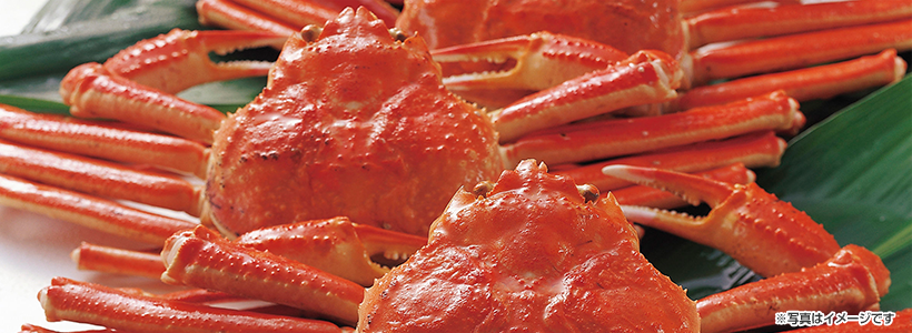 香住の民宿 にしたにや海華で食すカニ会席＆にしともかに市場でお買い物の旅♪