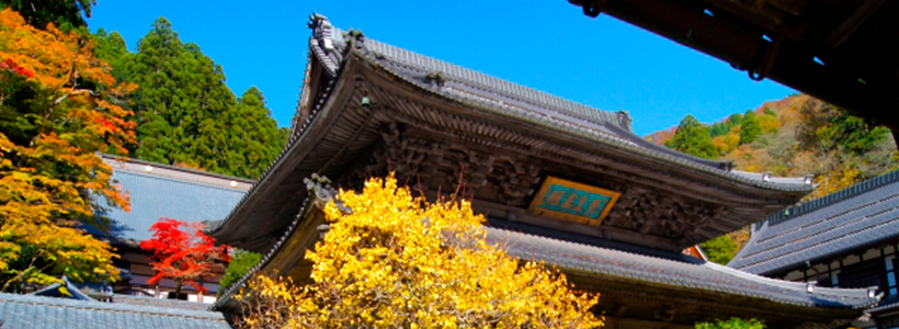 あわら「IKKO」ガイドと行く「蓮如の里」と霊験あらたかな「永平寺」を語り部と巡る〜あわら温泉　グランディア芳泉に泊まる旅1泊2日