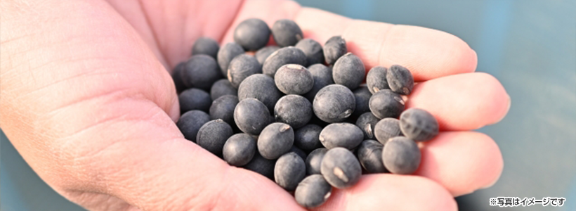 「山里料理 まえ川」で丹波のコースを楽しむ！夢の里やながわ＆道の駅・丹波おばあちゃんの里のお買い物で丹波満喫の旅♪