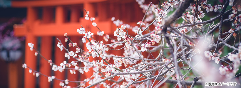 ≪第４回 たび丸美食俱楽部≫創業80年超！ 「京料理 木乃婦」－視覚と味覚の両方で味わう早春の京－