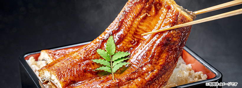 大和郡山・大河ドラマ館見学と2000株のバラが咲き誇る「霊山寺」でバラ鑑賞＆＼創業130年老舗料亭菊水楼「うな菊」で食す／「鰻あいのせ重」のよくばりランチ♪