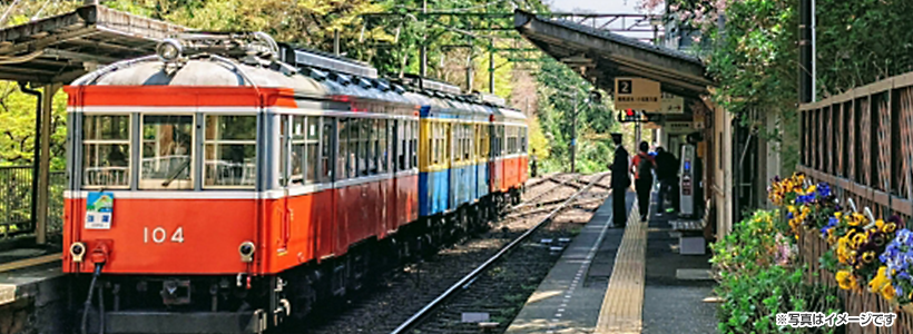 箱根登山鉄道・糸川遊歩道で早咲きのあたみ桜鑑賞～2泊目は温泉付きプレミアムルームで宿泊♪2泊3日の旅★